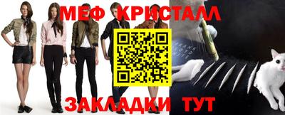 прущие грибы Новозыбков