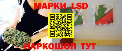 стаф Новодвинск