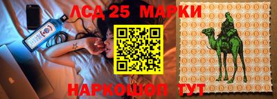 прущие грибы Новозыбков