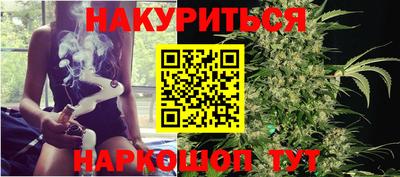 стаф Новодвинск