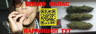 стаф Новодвинск