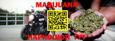 стаф Новодвинск