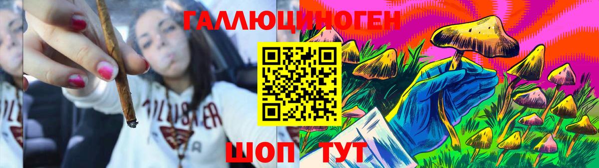 купить  цена  Вход с VPN  Псков  Псилоцибиновые грибы GOLDEN TEACHER  Галлюциногенные грибы Magic Shrooms 