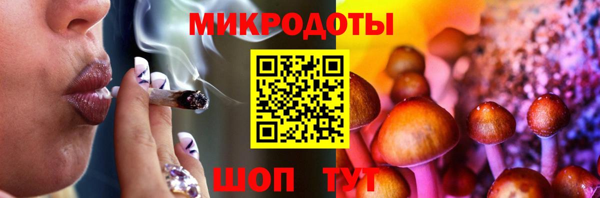 Псилоцибиновые грибы GOLDEN TEACHER Псков